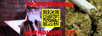 прущие грибы Чебаркуль