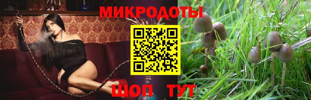 Гусиноозёрск  Галлюциногенные грибы ЛСД  Галлюциногенные грибы прущие грибы  Вход с VPN 